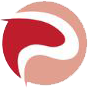 Plyse Professional Services